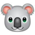 Koala on WhatsApp