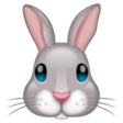 Rabbit Face on WhatsApp