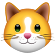 Cat Face on WhatsApp