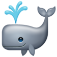 Spouting Whale on WhatsApp