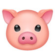 Pig Face on WhatsApp