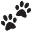 Paw Prints on WhatsApp