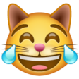 Cat Face With Tears Of Joy on WhatsApp