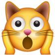 Weary Cat Face on WhatsApp