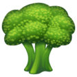 Broccoli on WhatsApp