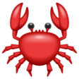 Crab on WhatsApp