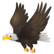 Eagle on WhatsApp