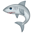 Shark on WhatsApp