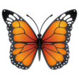 Butterfly on WhatsApp