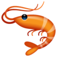 Shrimp on WhatsApp