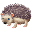 Hedgehog on WhatsApp