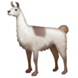 Llama on WhatsApp