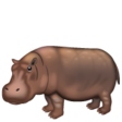 Hippopotamus on WhatsApp