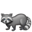 Raccoon on WhatsApp