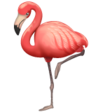Flamingo on WhatsApp