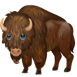 Bison on WhatsApp