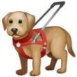 Guide Dog on WhatsApp