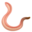 Worm on WhatsApp