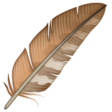 Feather on WhatsApp