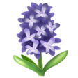 Hyacinth on WhatsApp