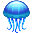 Jellyfish on WhatsApp