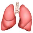 Lungs on WhatsApp