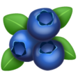 Blueberries on WhatsApp