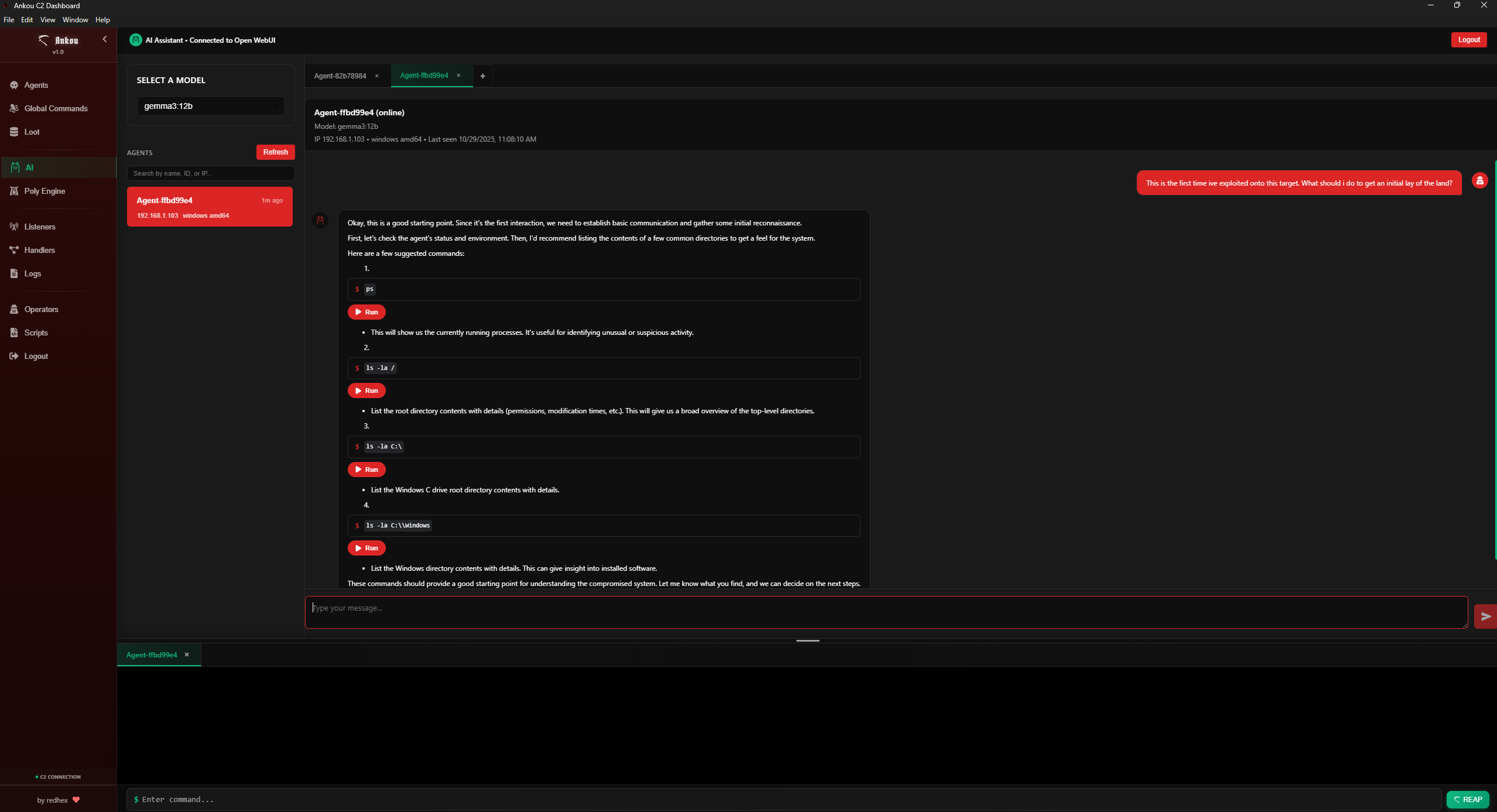 Red-Hex-Consulting/Ankou cover