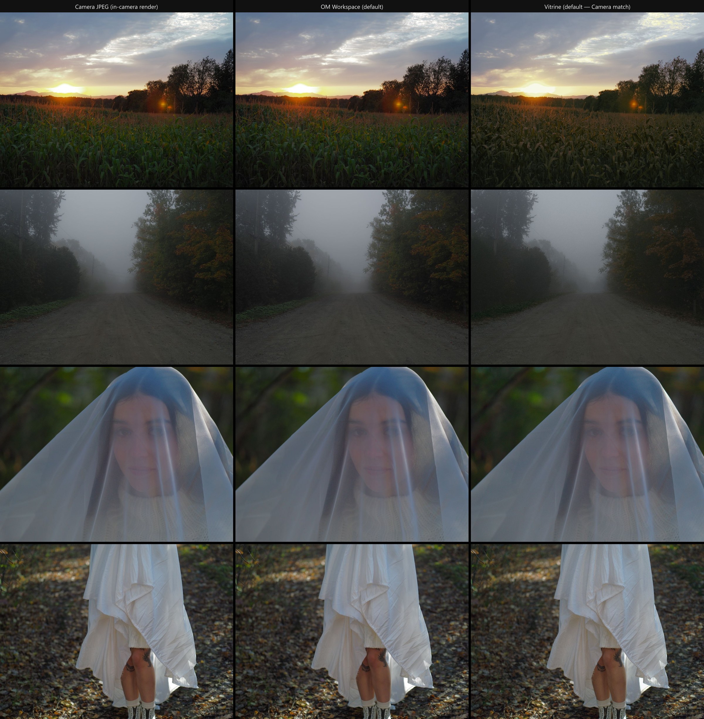 Camera JPEG vs OM Workspace vs Vitrine — color fidelity comparison