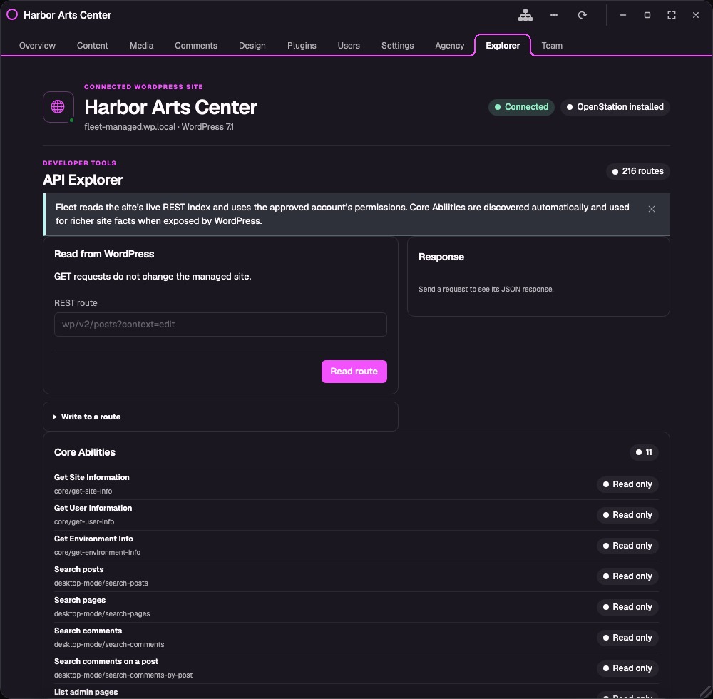 Exploring API routes advertised by the connected site