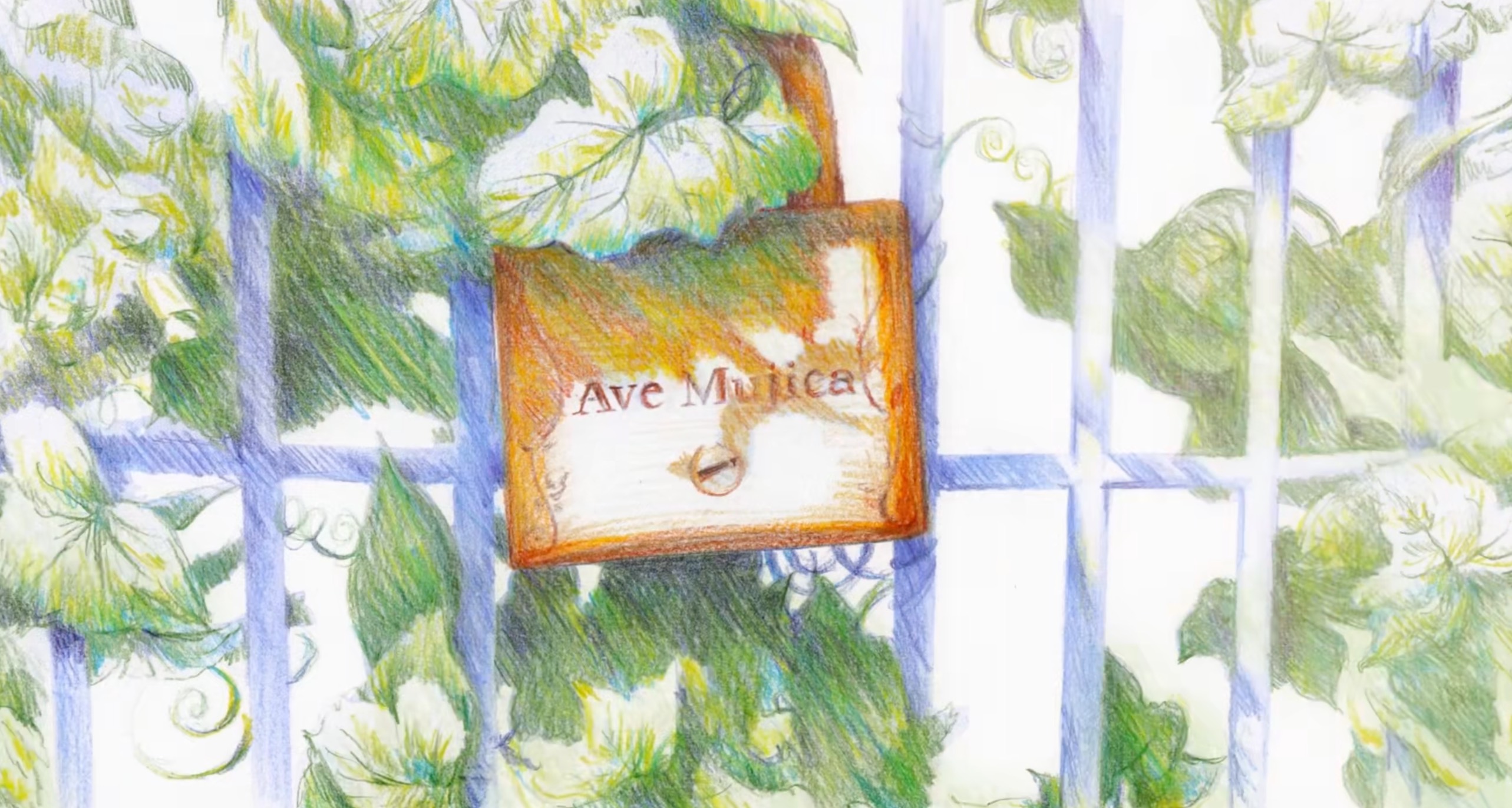 Featured image of post Ave Mujica