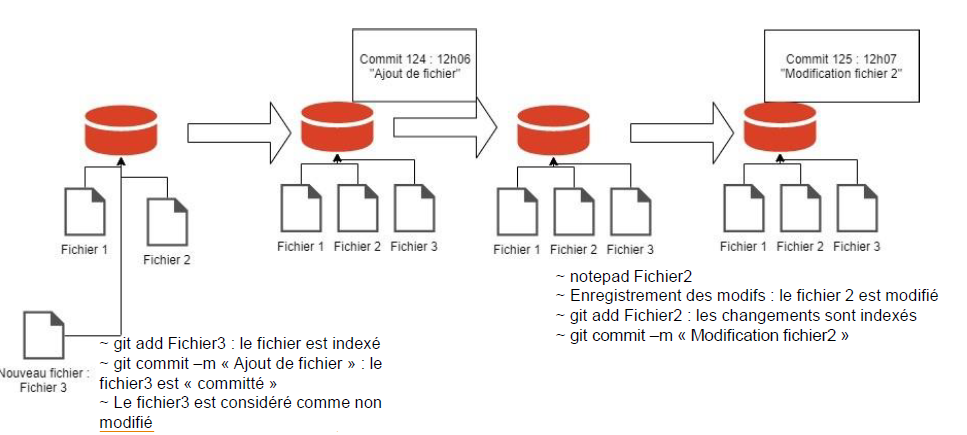 Gestionnaire de version