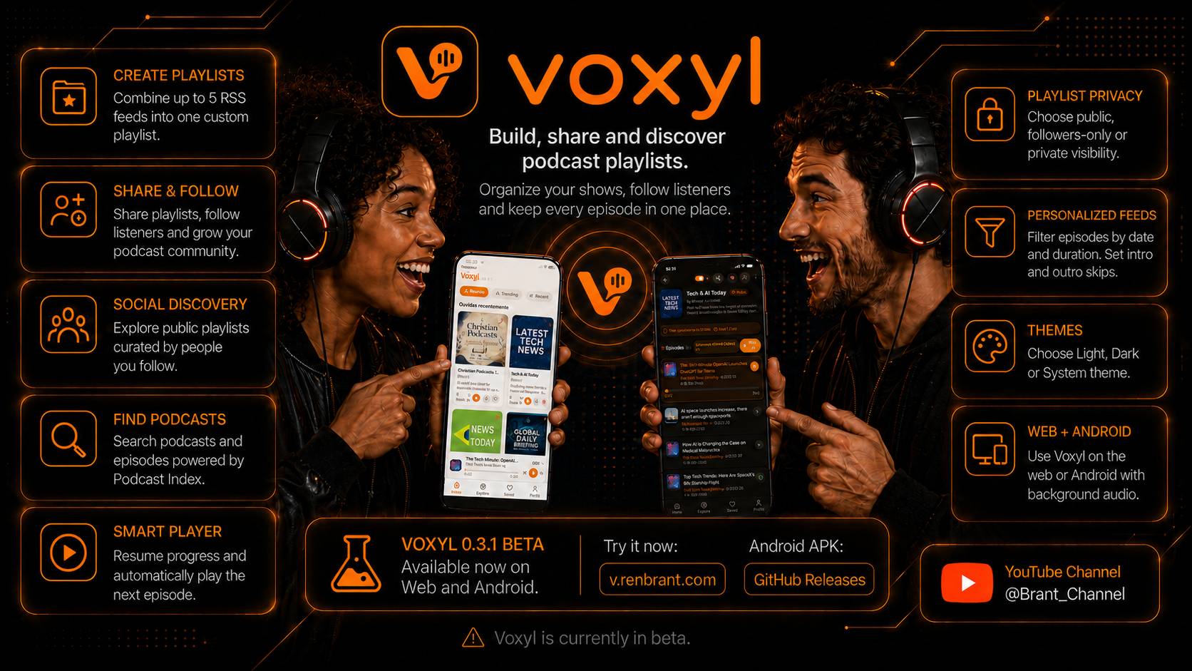 Voxyl Banner