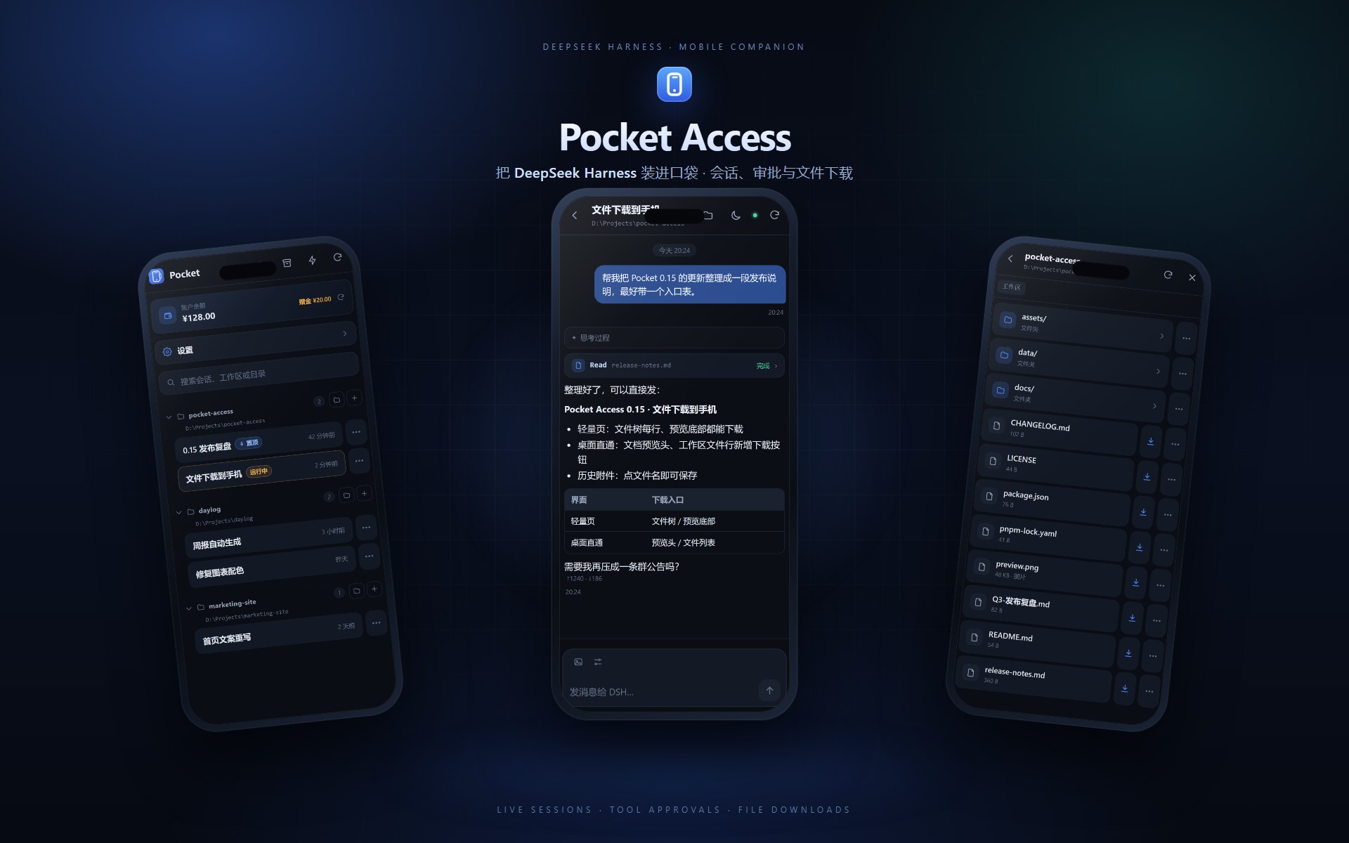 Pocket Access：手机端的会话、聊天与文件下载