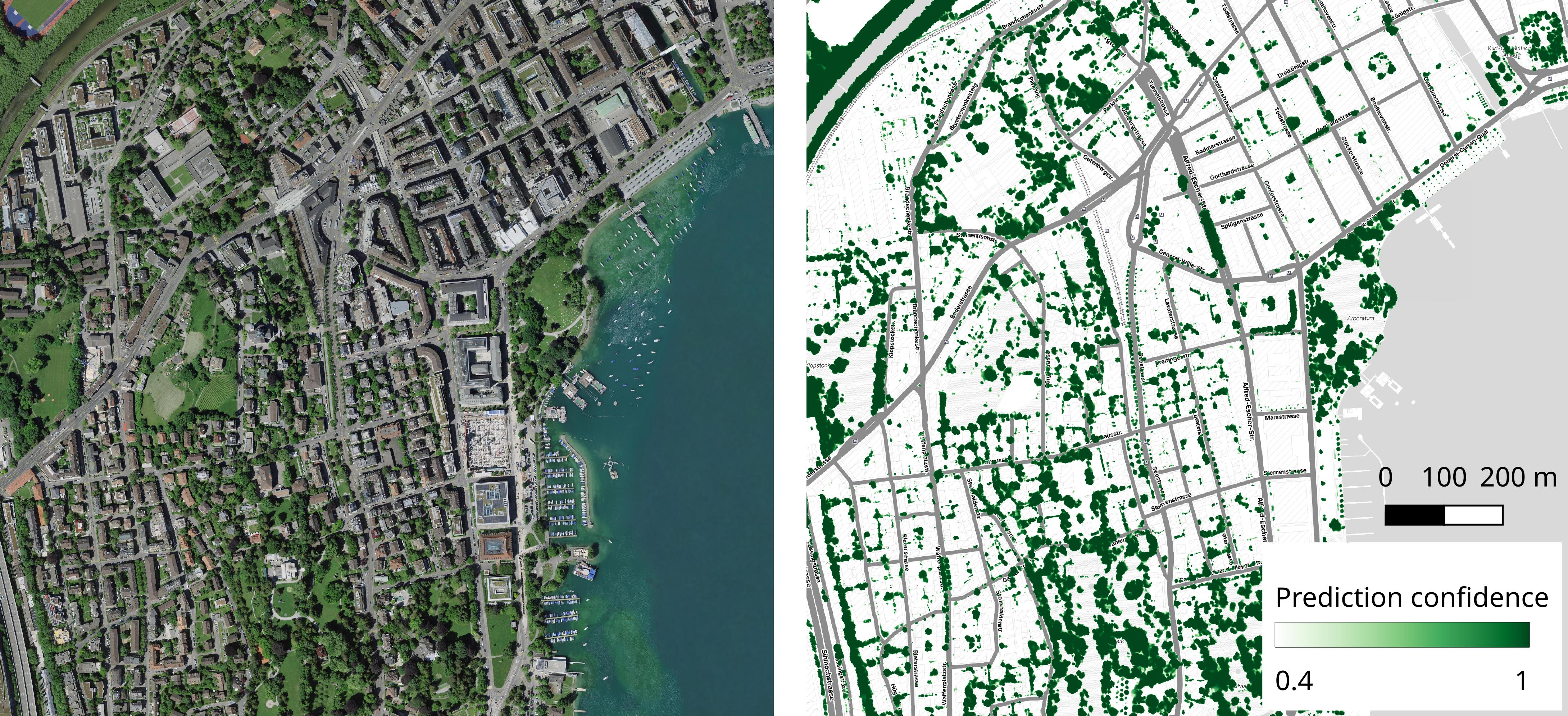Canopy map predictions over the city of Zurich