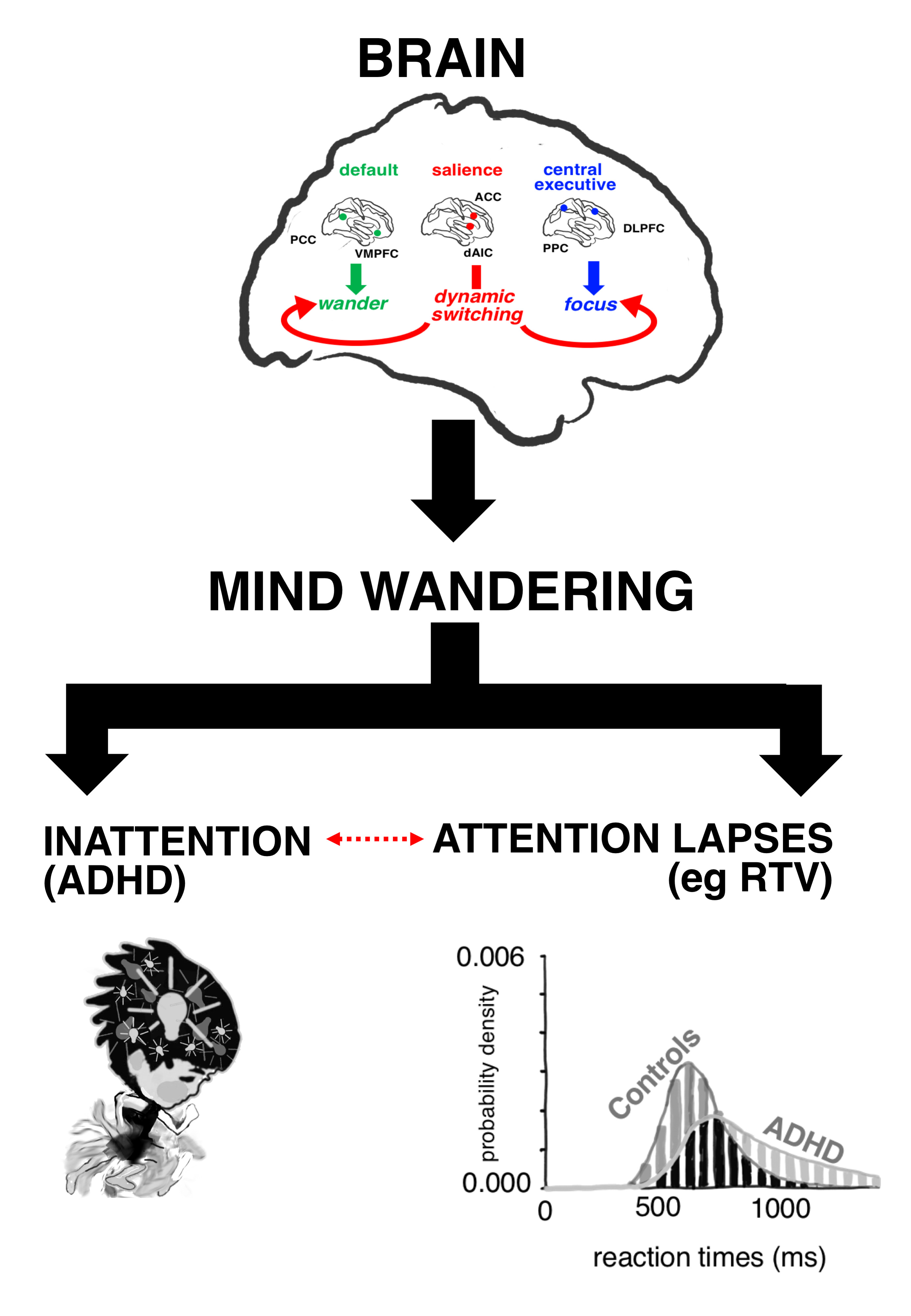 Mind Wandering hypothesis