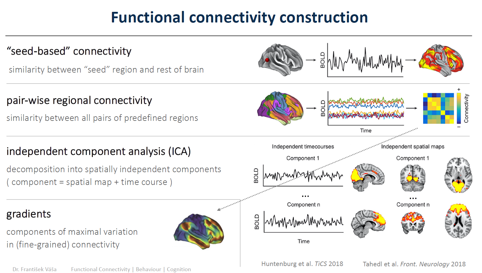 Functional connectivity construction