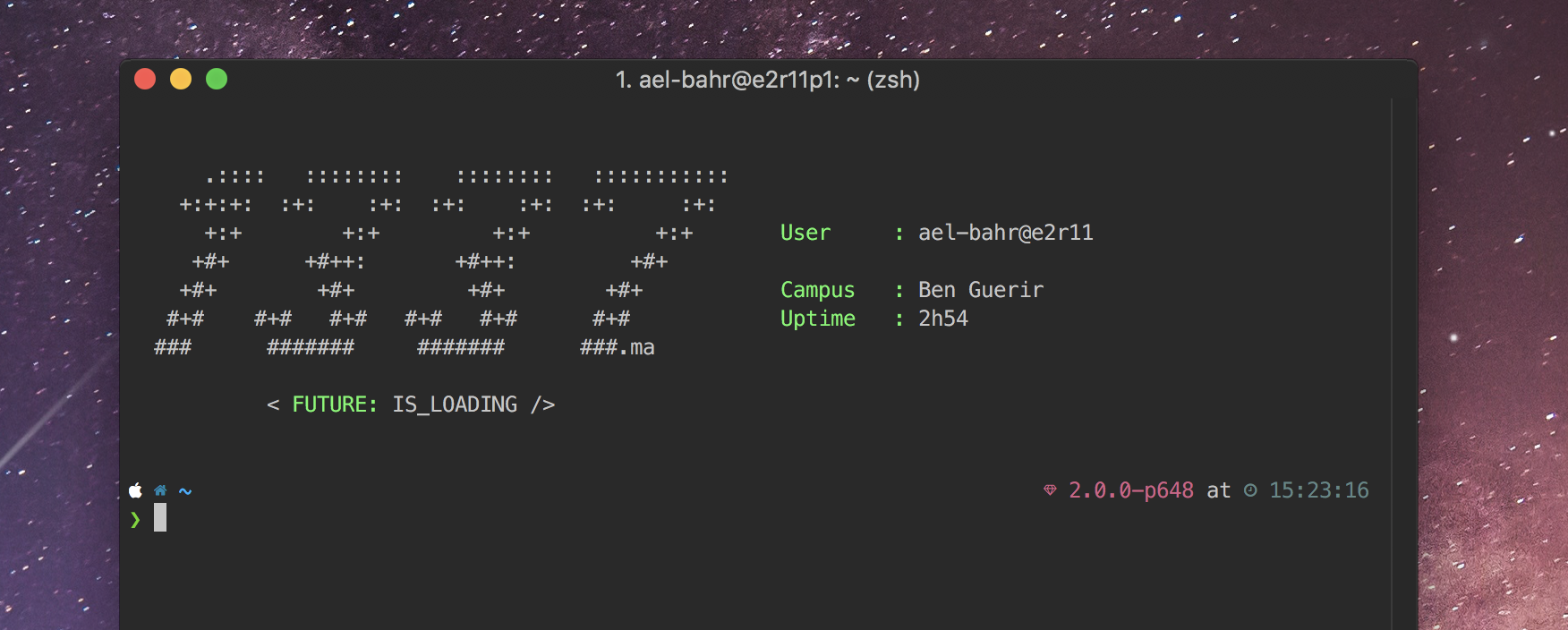 GitHub - ReversableCode/1337fetch: Screenfetch for 1337 School