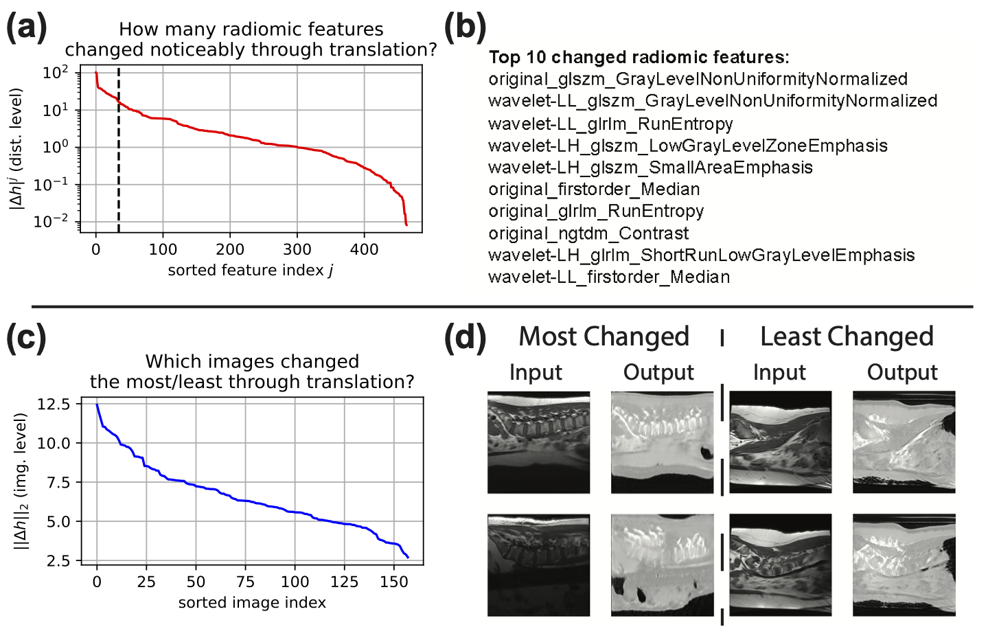 Radiomic interpretability