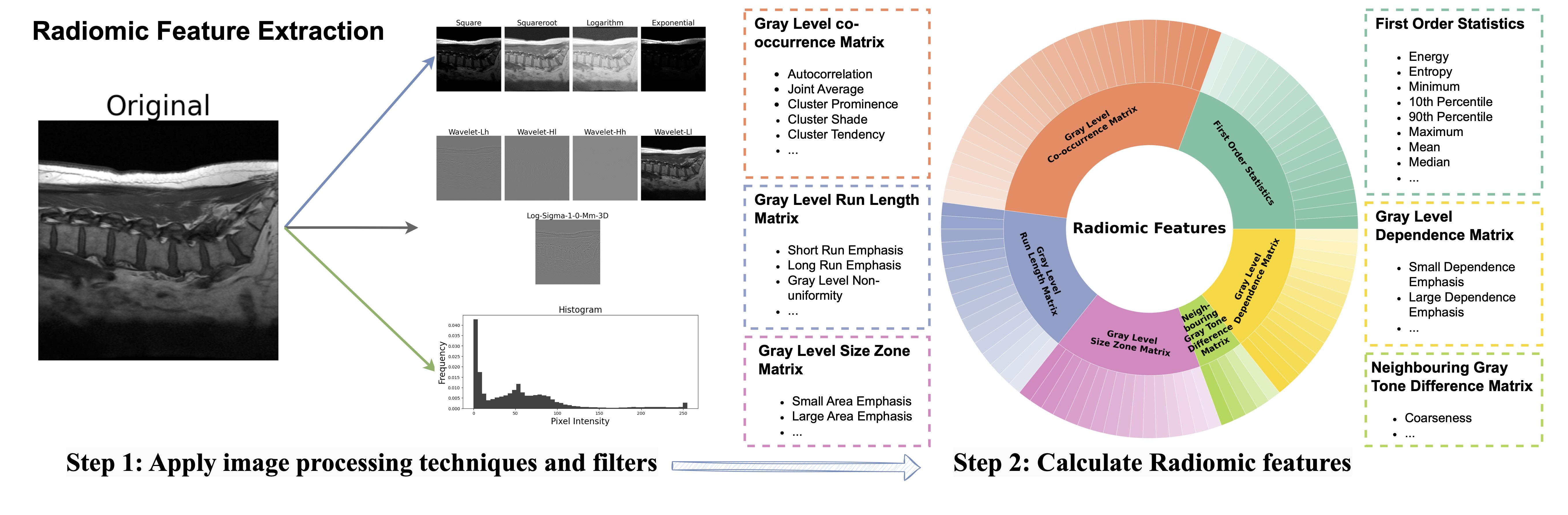 Radiomics feature taxonomy