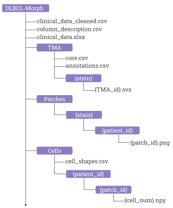 Folder Structure