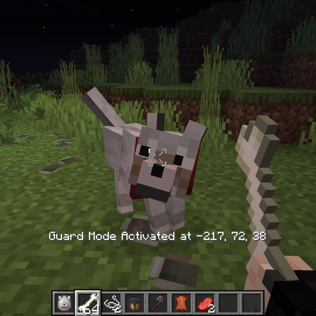 Guard Mode Activation