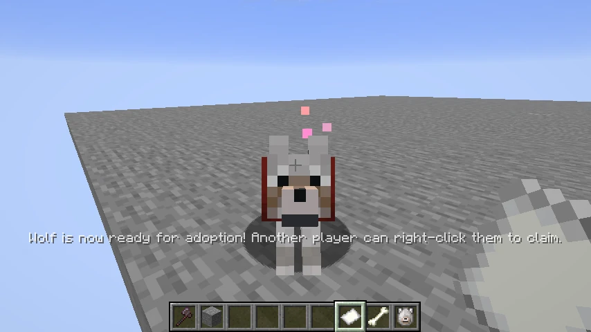 Wolf is Ready for Adoption
