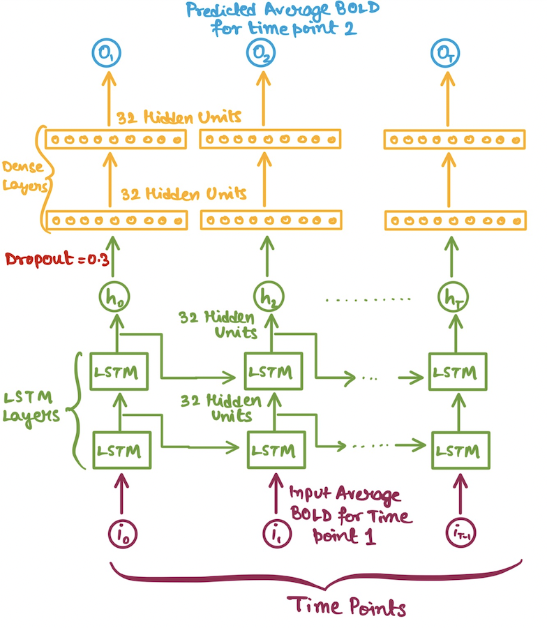 Avg BOLD LSTM Architecture