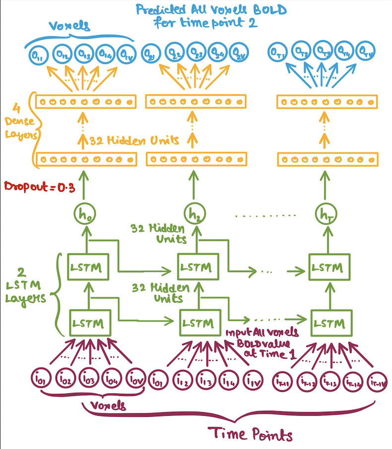 All BOLD LSTM Architecture