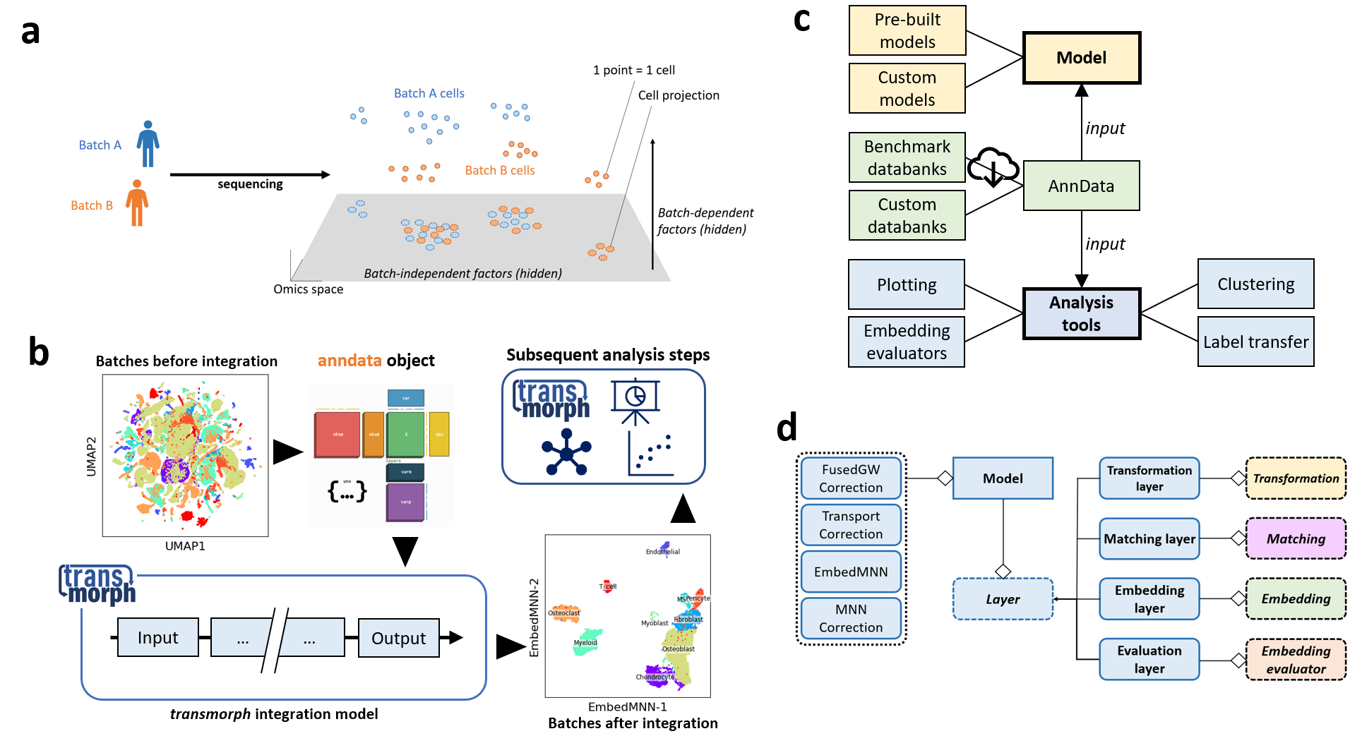 Transmorph workflow