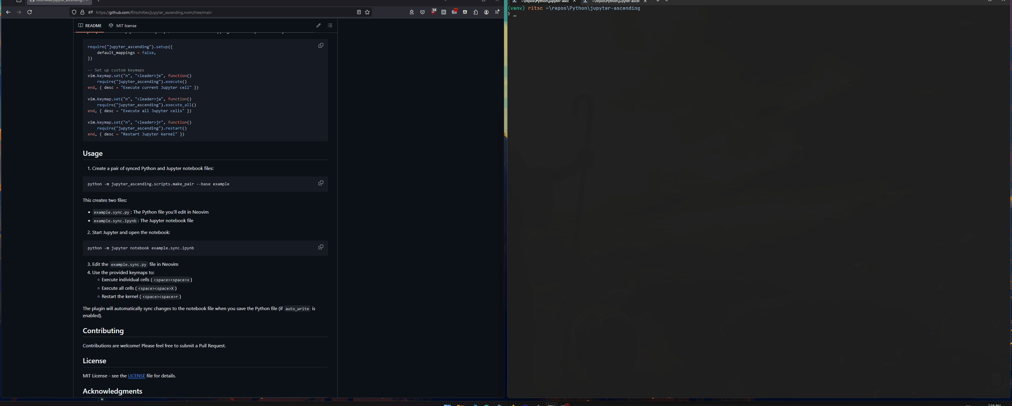 ritschalex/jupyter_ascending.nvim thumbnail