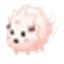 Catbox favicon