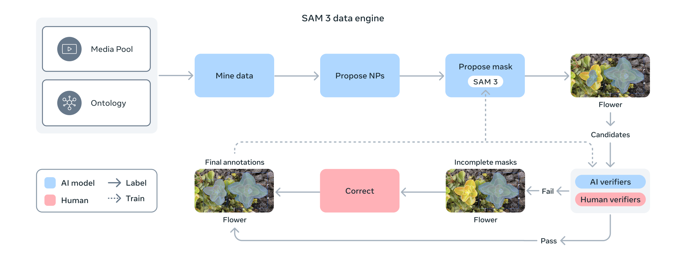 sam3-architecture