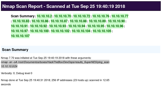 screen_ping_scan_report